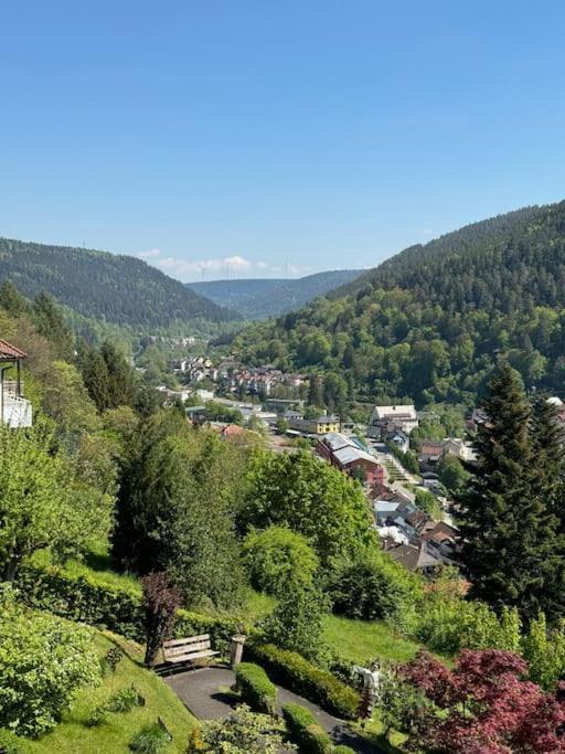 Ferienwohnung Bollenhut 1 Bad Wildbad Exterior foto
